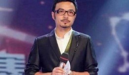 汪涵爆料商演视频,揭秘明星舞台背后的真实故事